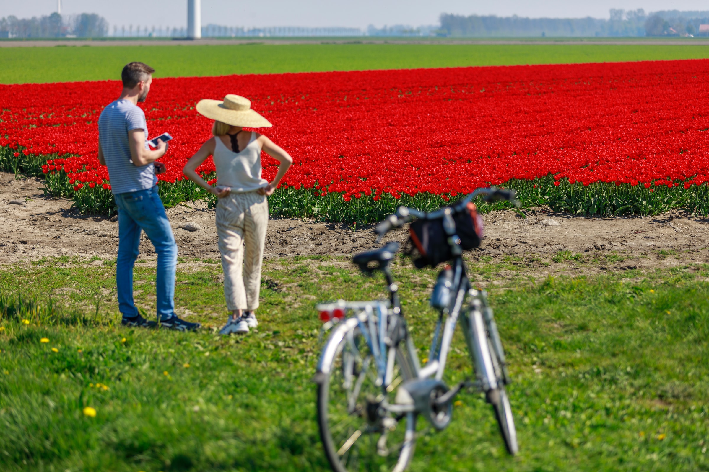 Holanda en bicicleta