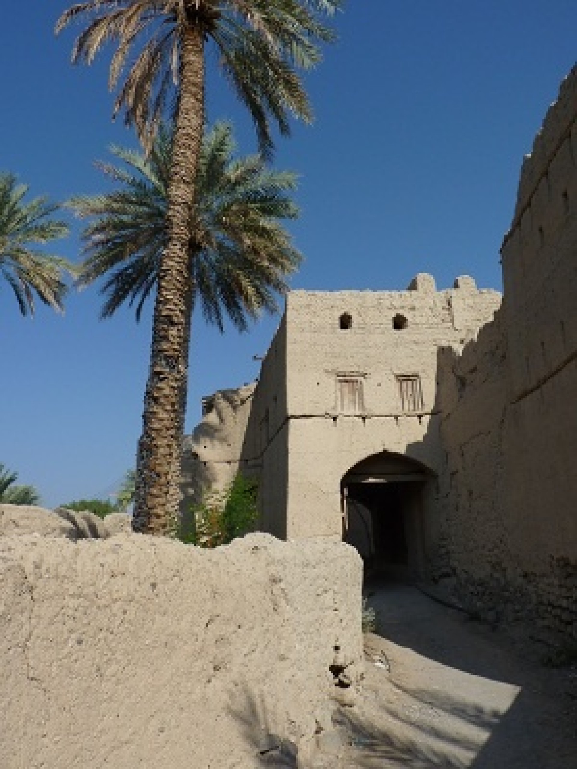 Omán i Illa Masirah [EXODE 2026]