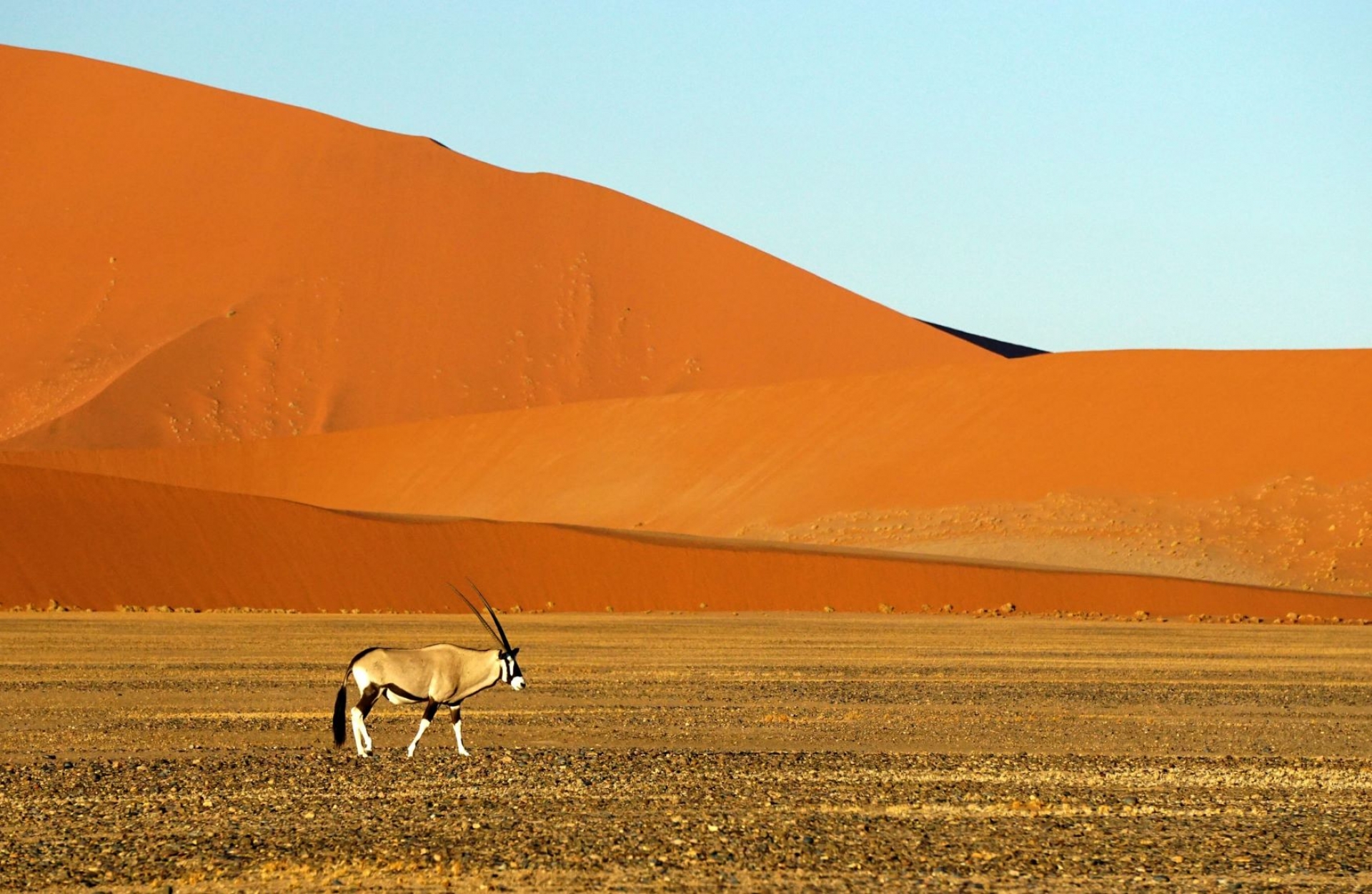 PAISATGES DE NAMÍBIA [EXODE 2025]