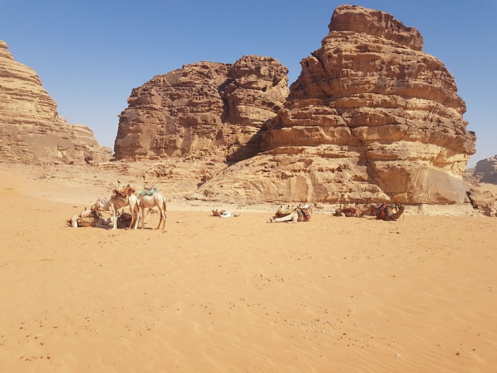 Nabateos, estrelles i desert amb conductor [EXODE 2024]