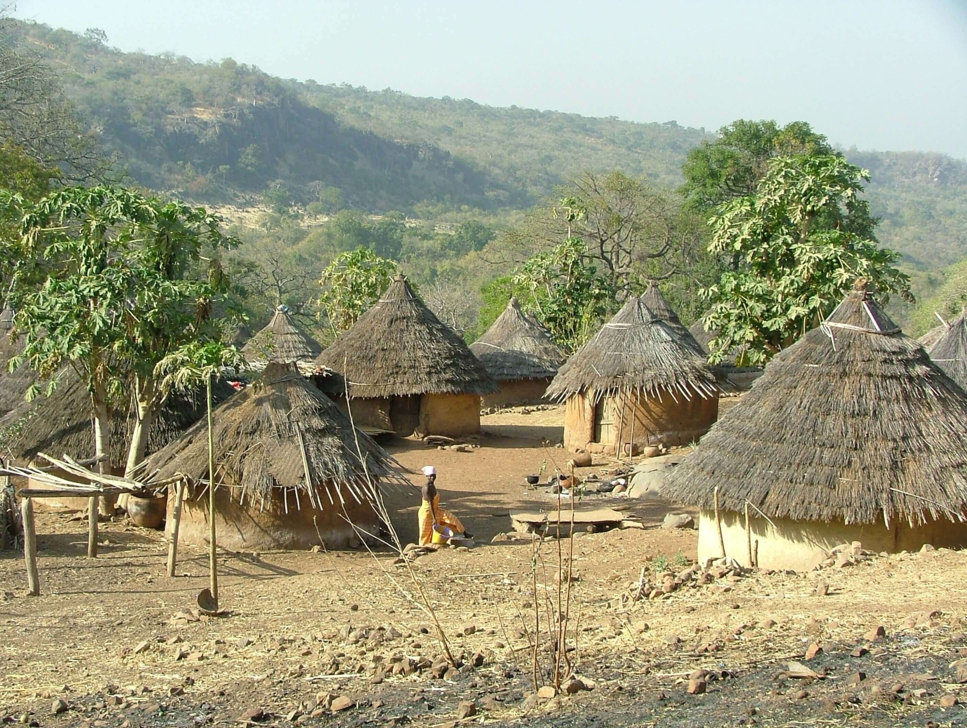 País Bassari [EXODE 2026]