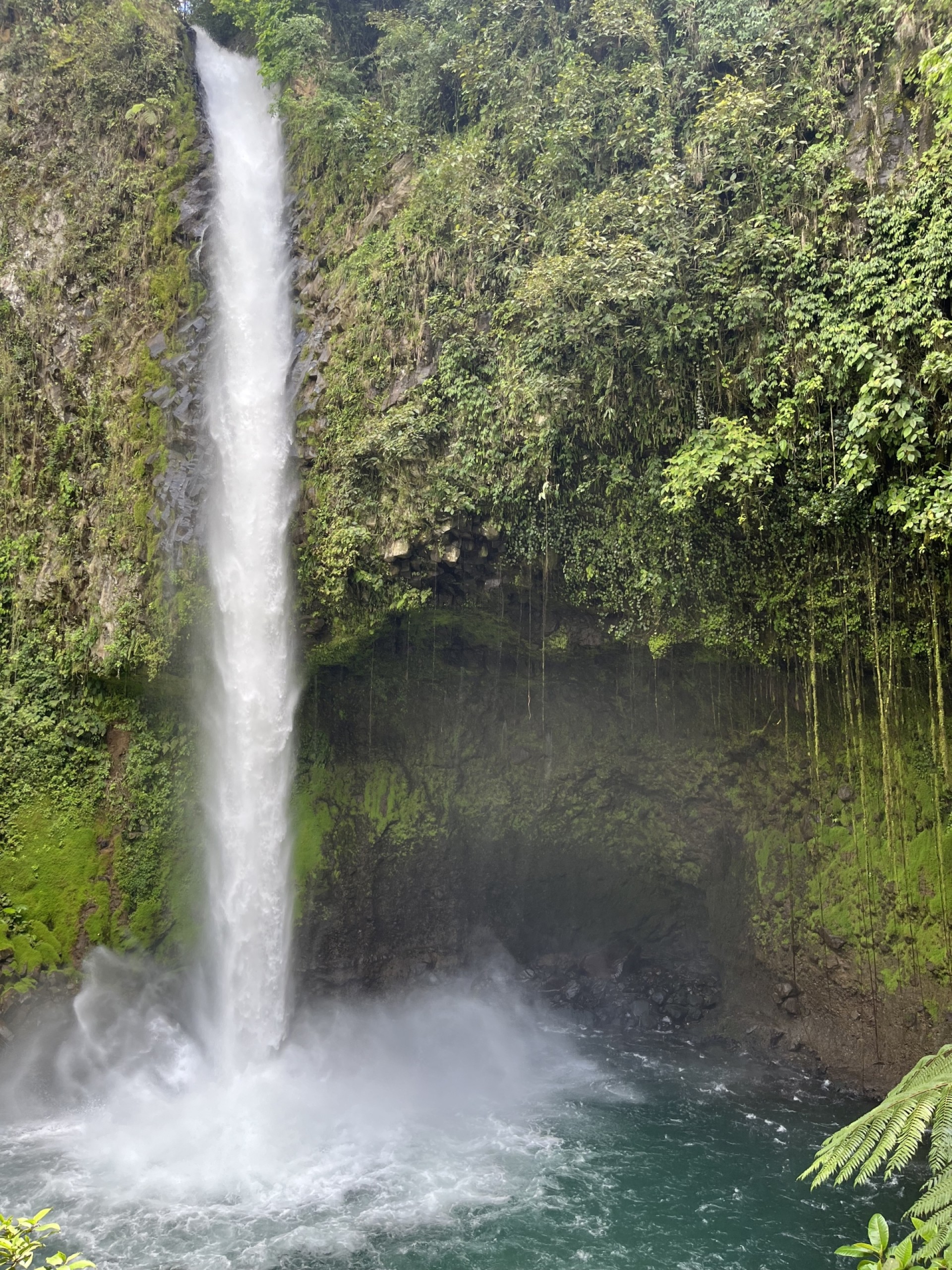 MARIA DEL CARMEN & ALFONS