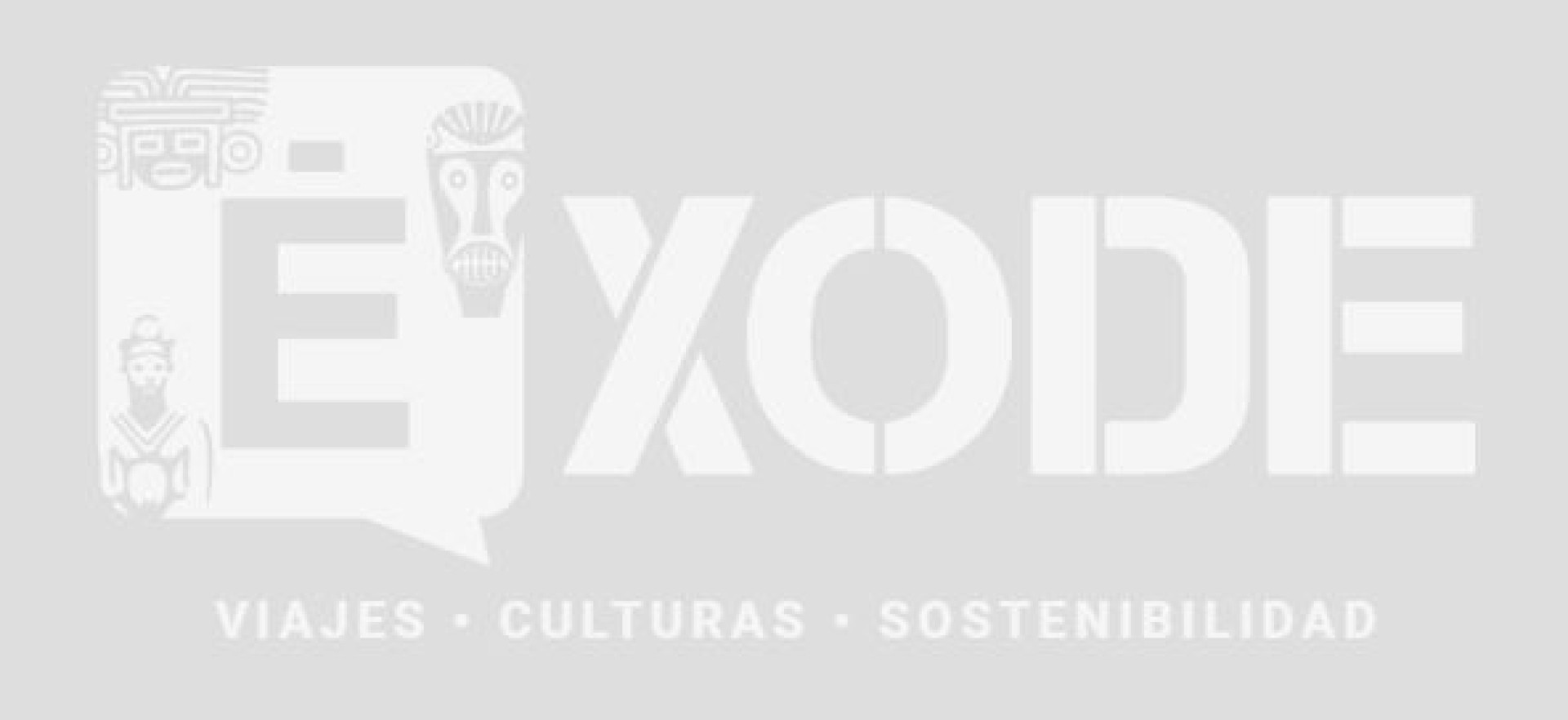 precio para viajar a tanzani