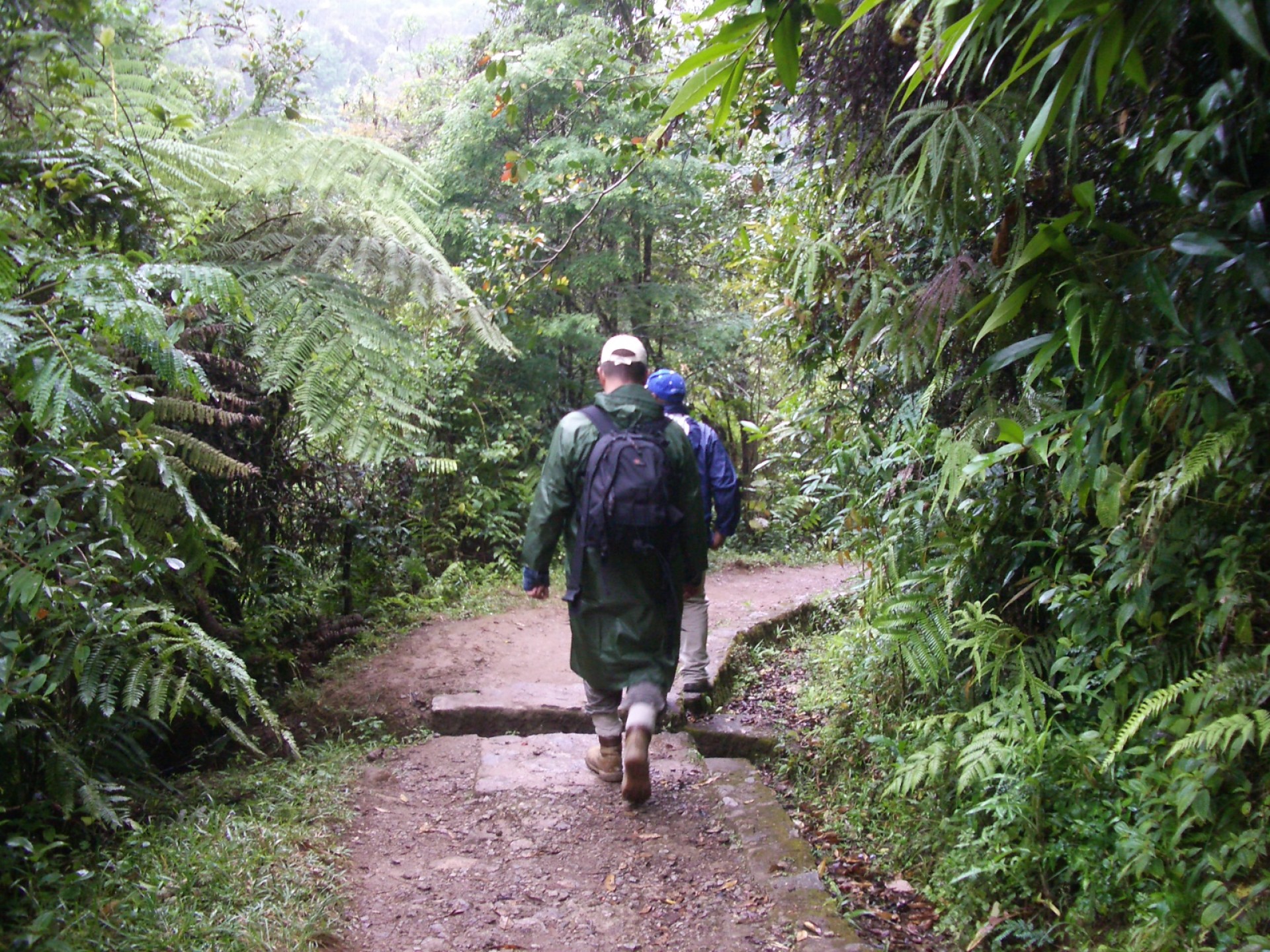 Darrere del Cor Verd [EXODE 2026]