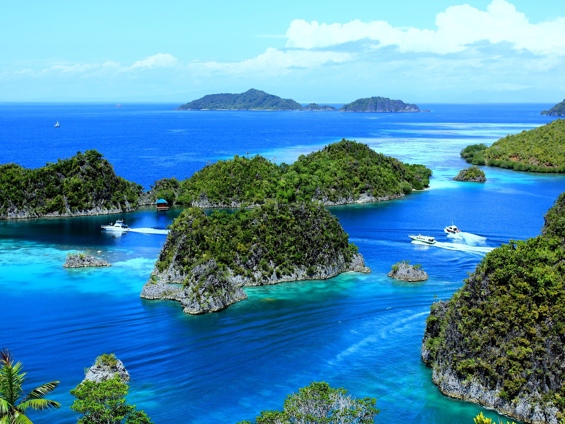 Bali, Sulawesi i Gili [EXODE 2025]