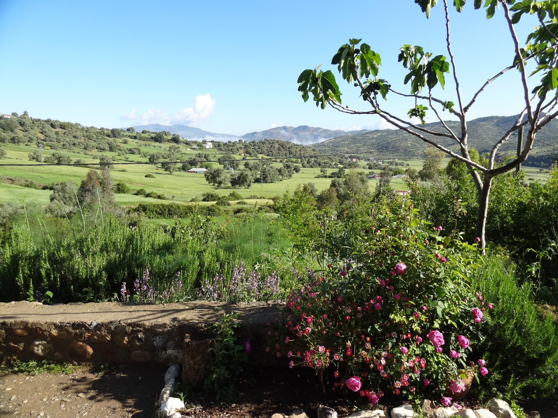 MARRUECOS: EN EL CORAZÓN DEL RIF EN FAMILIA [EXODE 2026]