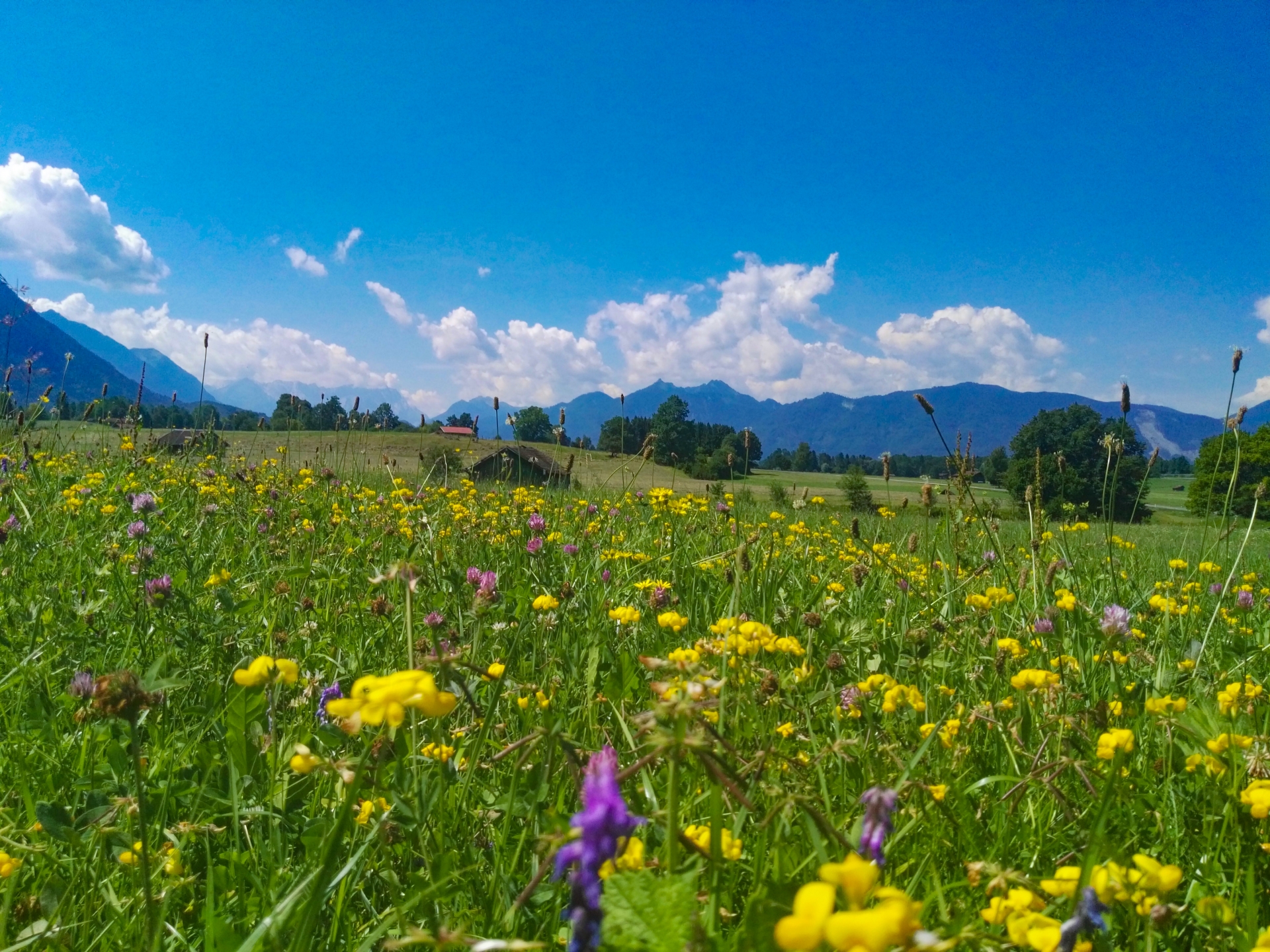Ruta Romántica y Lagos Bavaros [BIKE 2026]