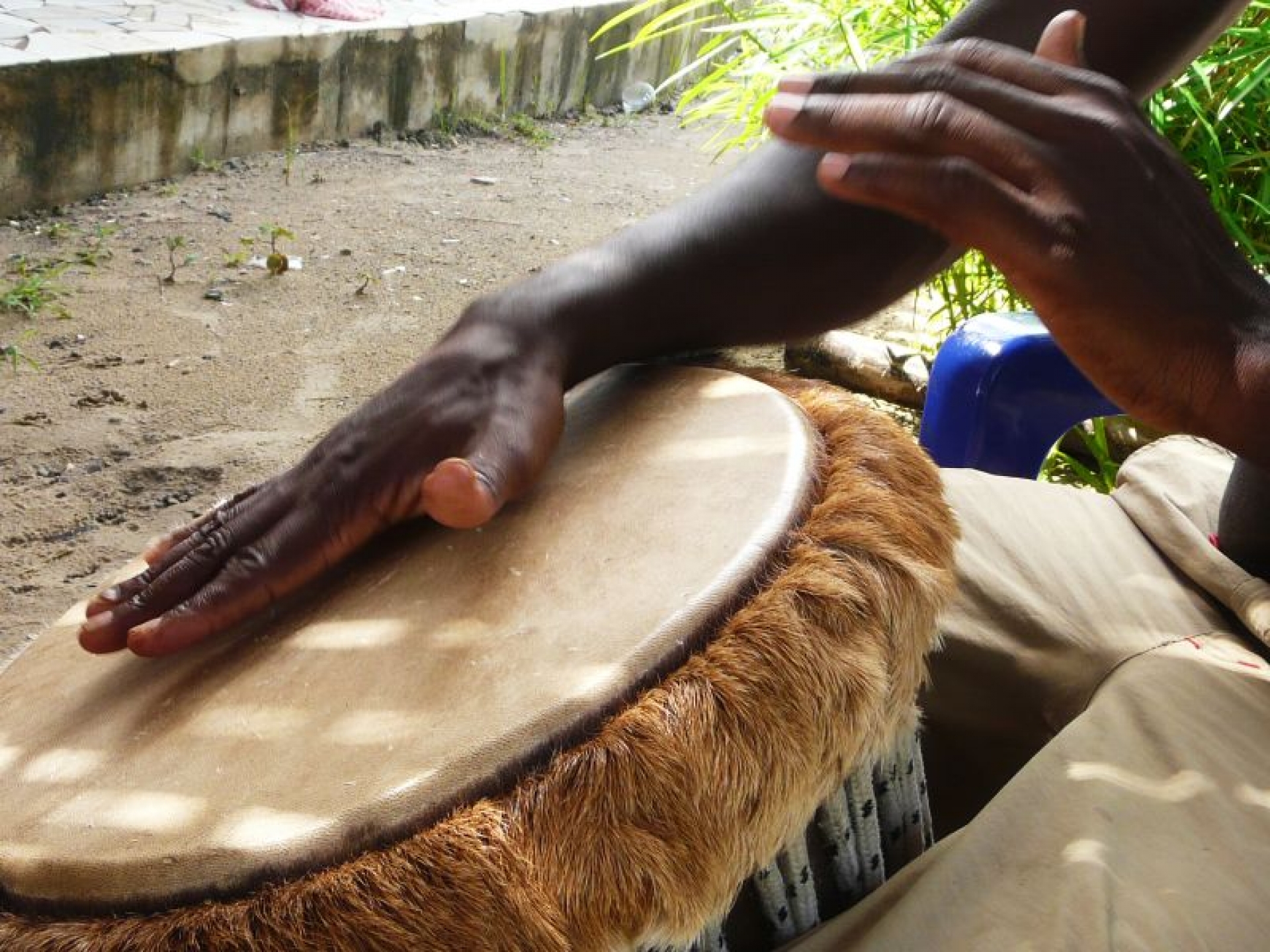 Tierra de Baobabs [exode 2026]
