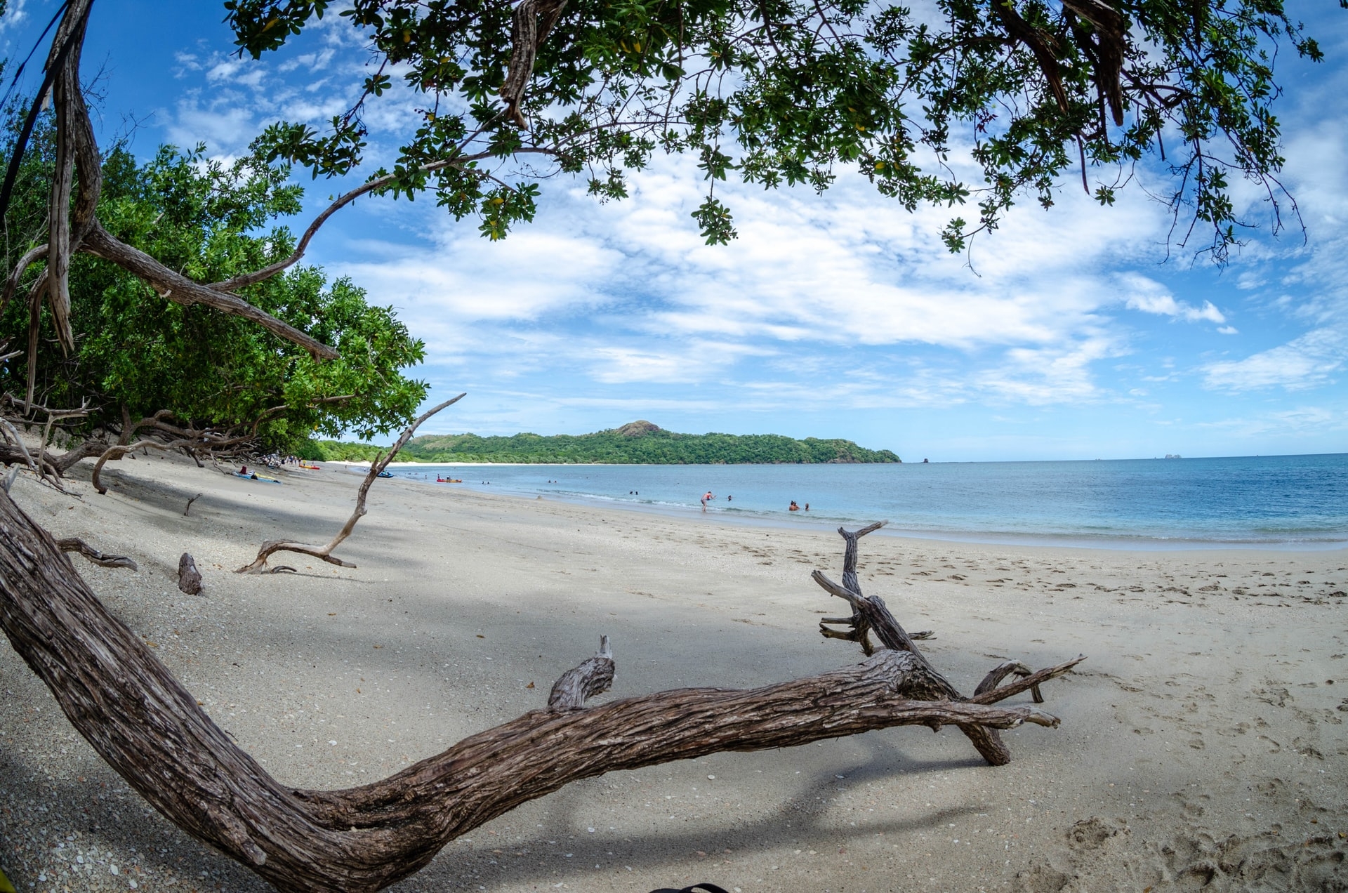 Costa Rica Verda [EXODE 2025]