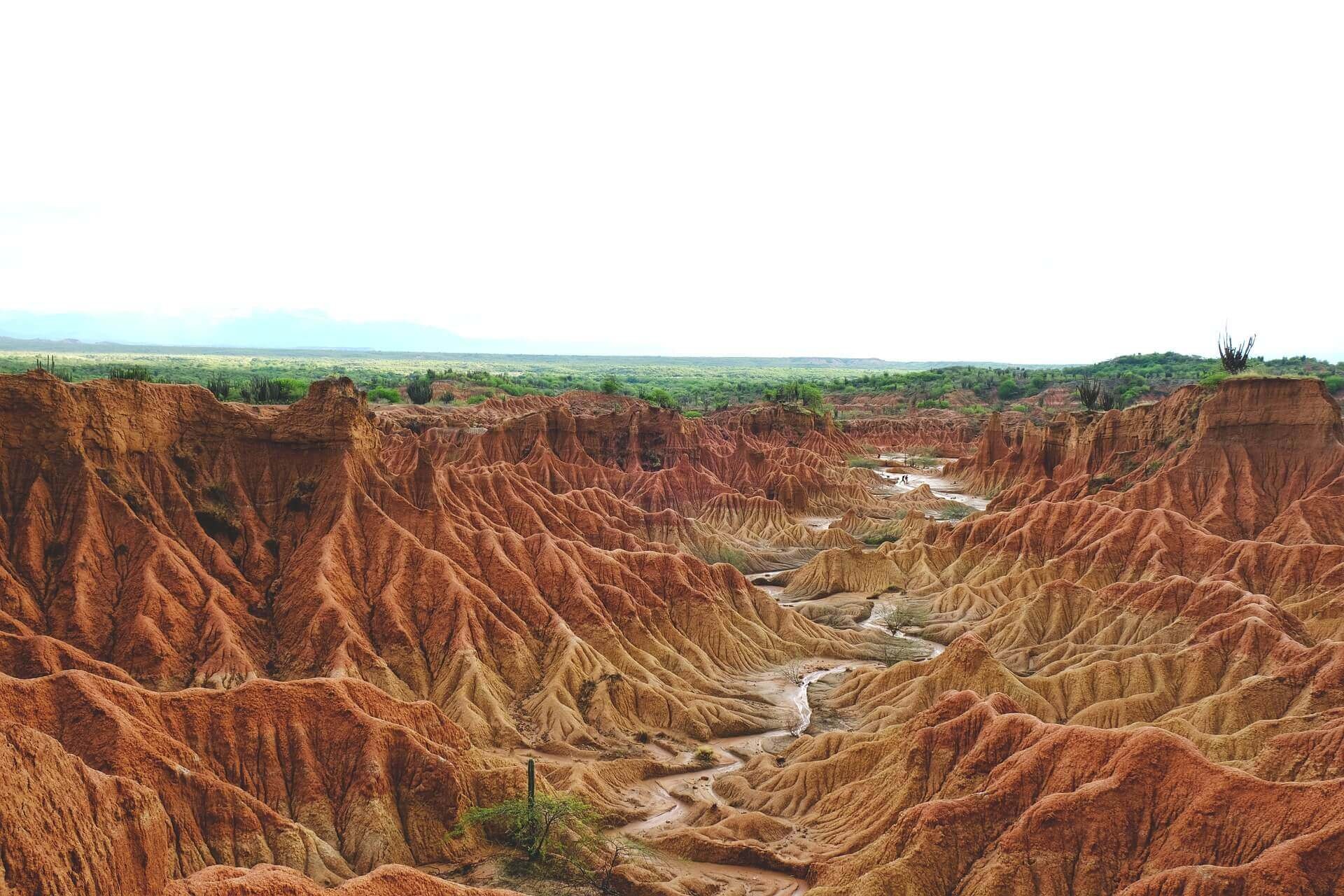 Joies de Colombia [EXODE 2025]