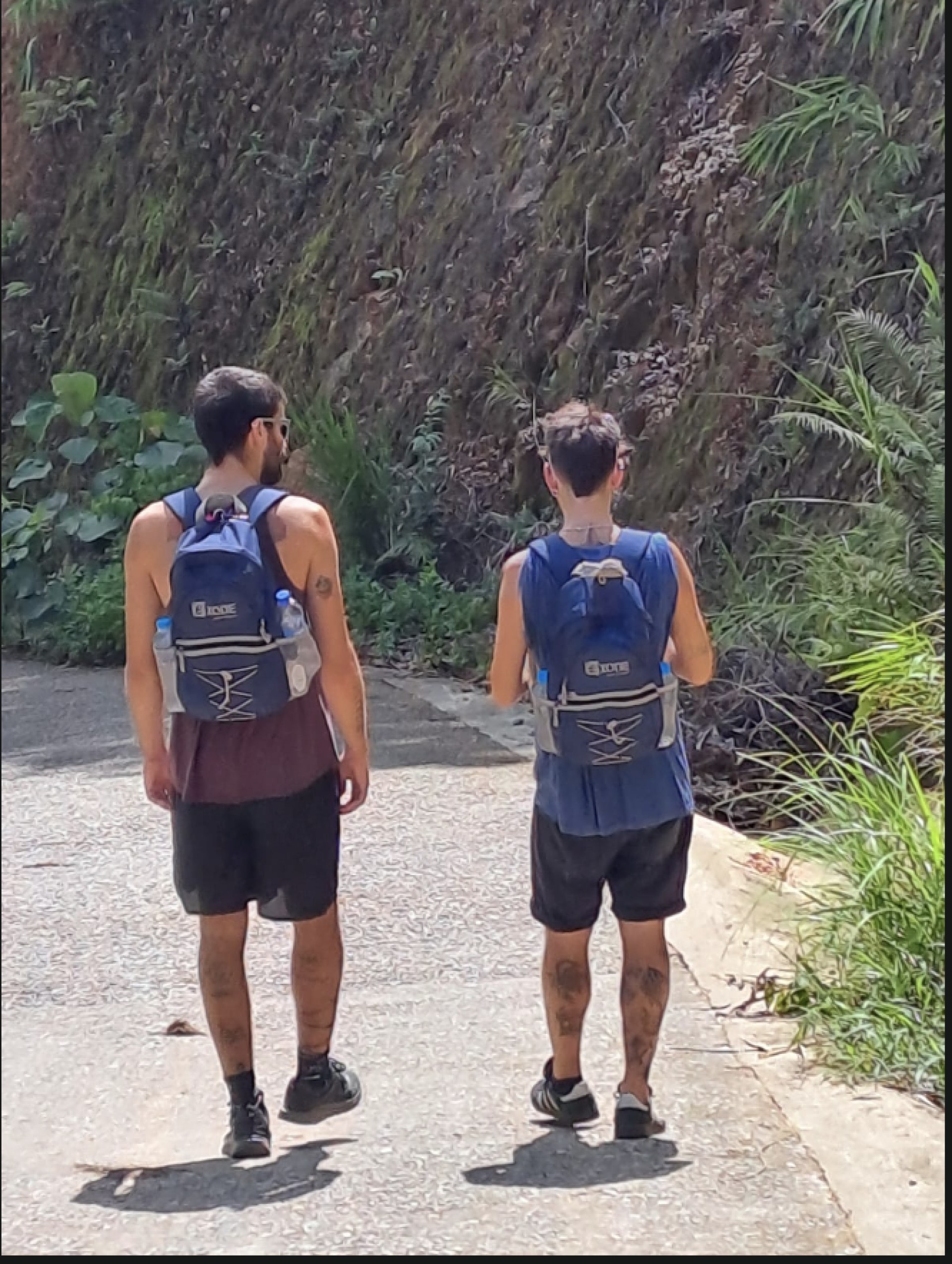 ROSA,TOMEU, JAN & XEN