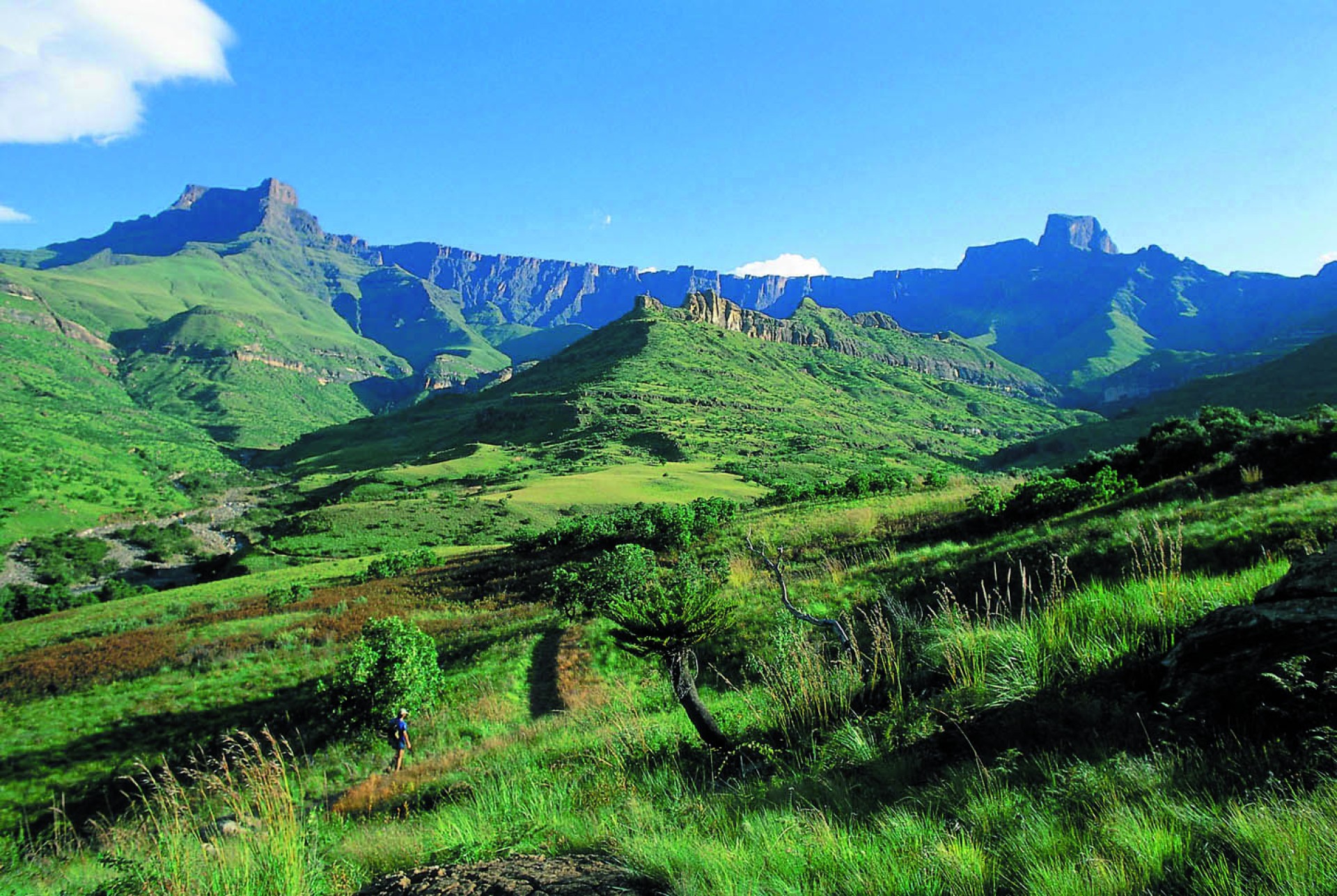 MARAVILLAS DE SUDÁFRICA [EXODE 2026]