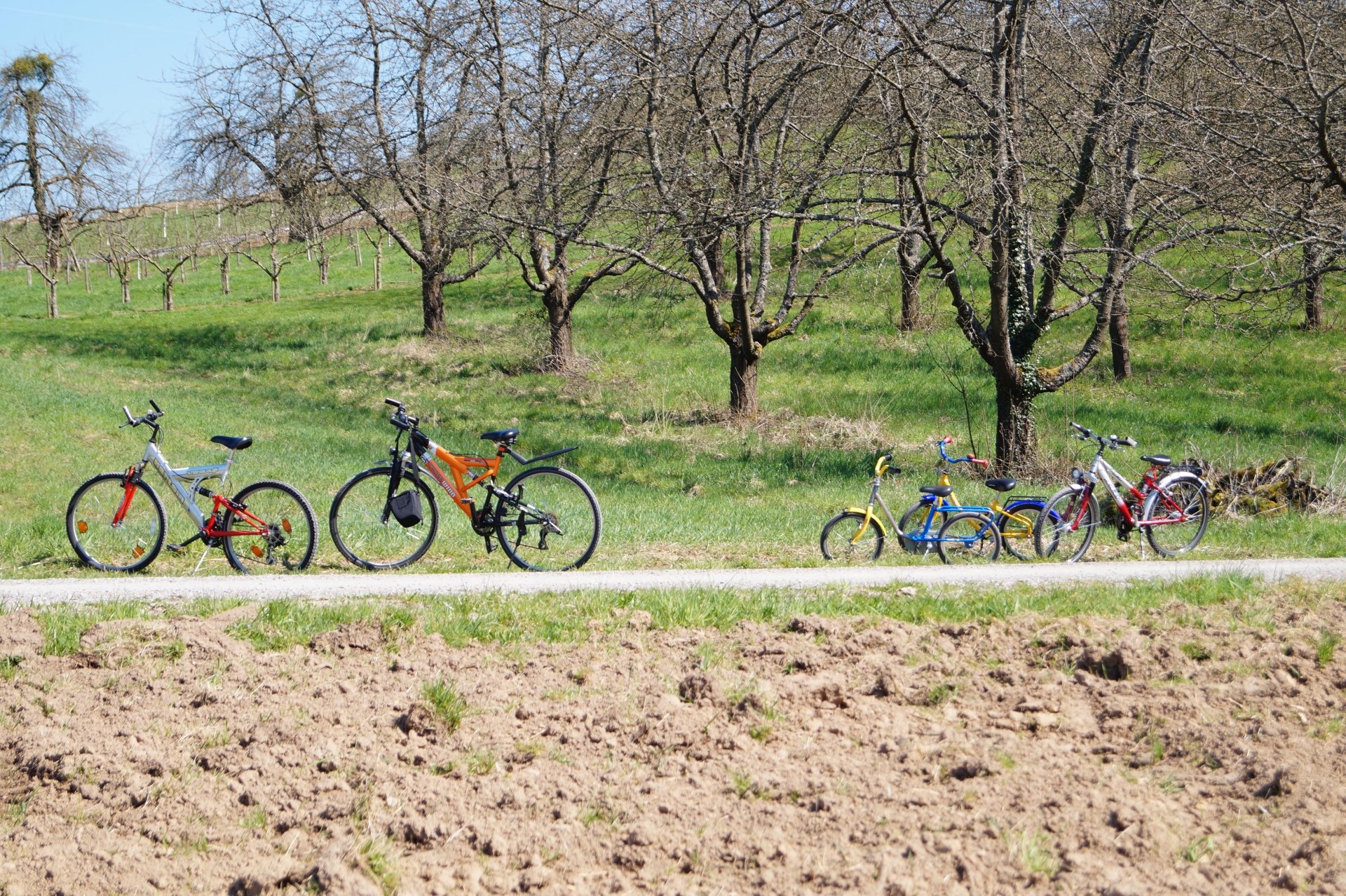 En Família a Flandes [BIKE 2025]
