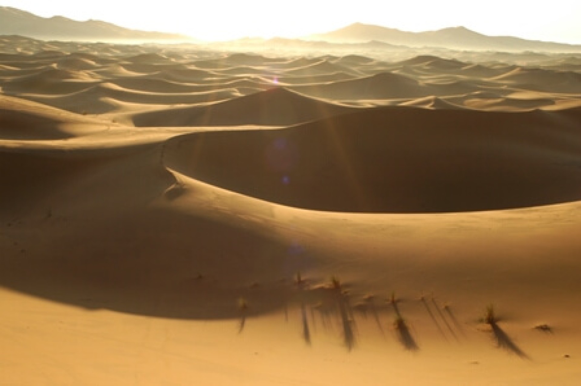 Marruecos: de Tanger a Fez [EXODE 2026]