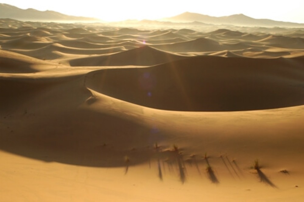 Marruecos: de Tanger a Fez [EXODE 2025]