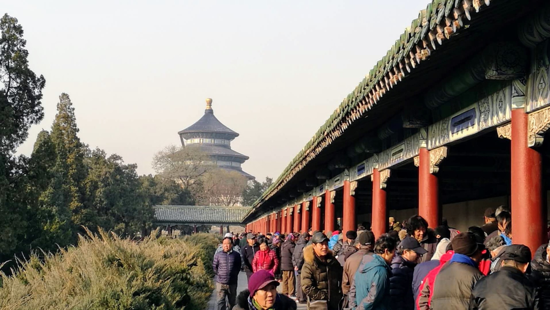 China Imperial [EXODE 2026]