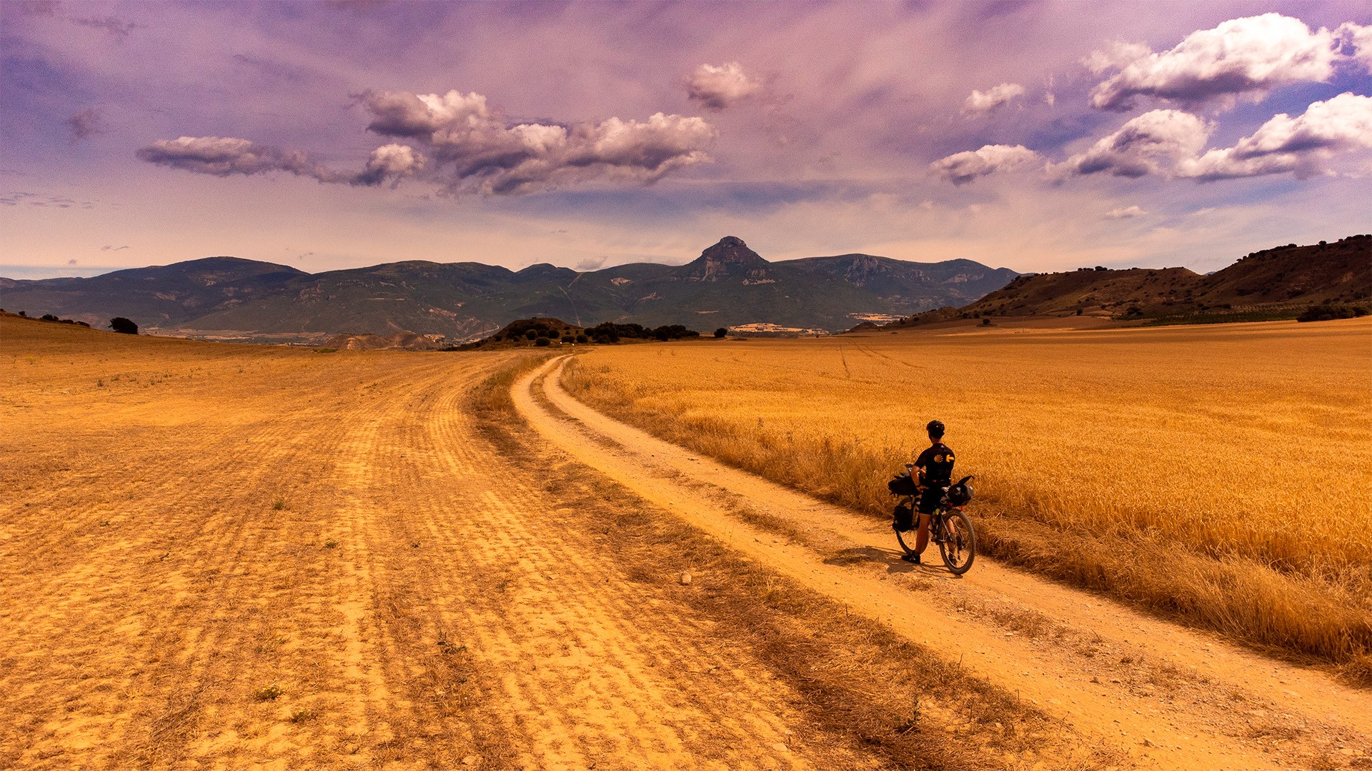 Camino Francés Avanzado de León a Santiago [BIKE 2025]
