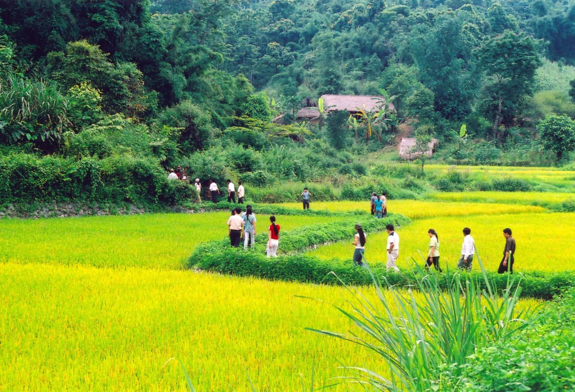 Impressions de Vietnam [EXODE 2026]