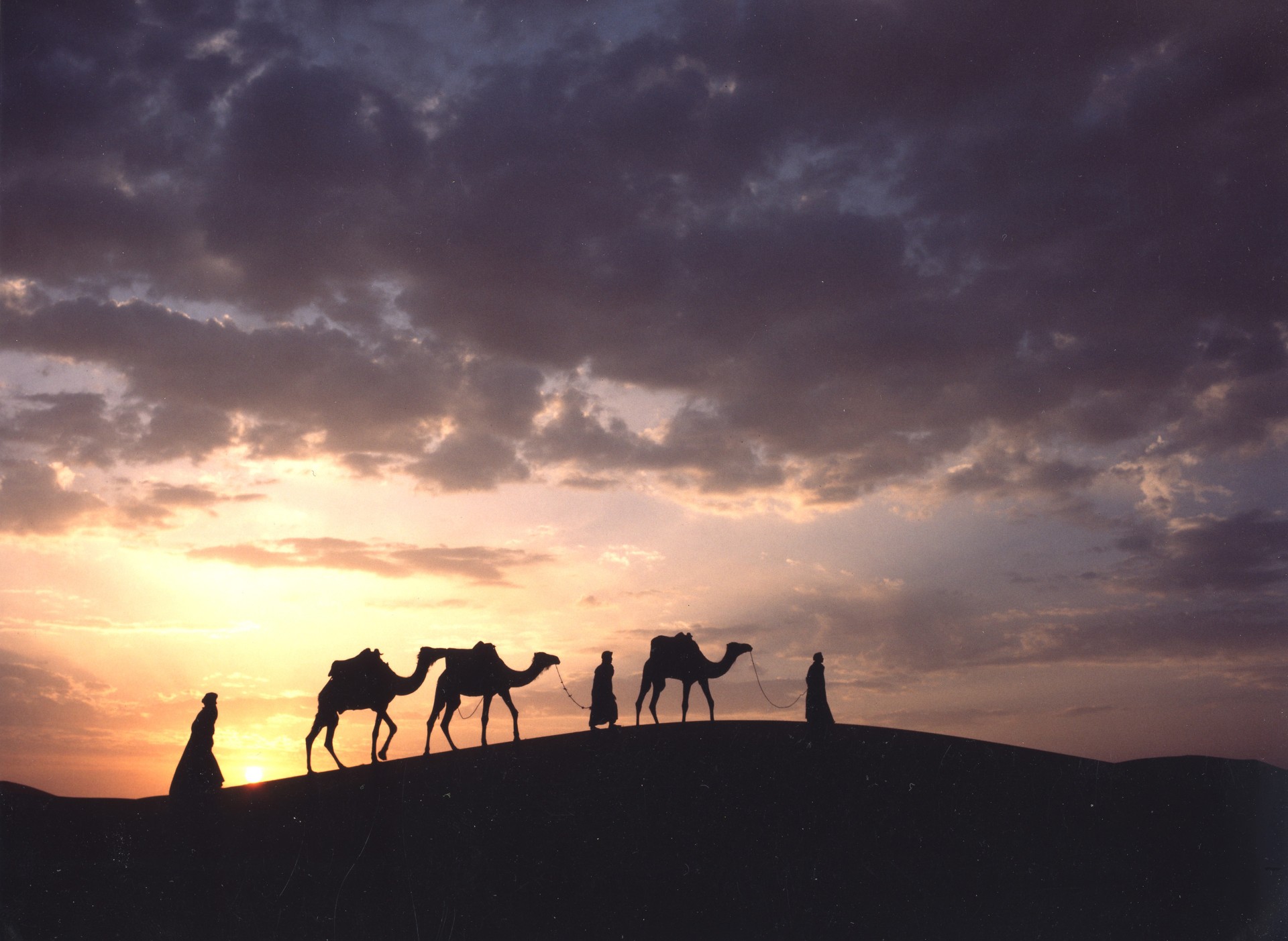 28 MAR TASSILI TADRART EN ALGERIA  [EXODE 2026]