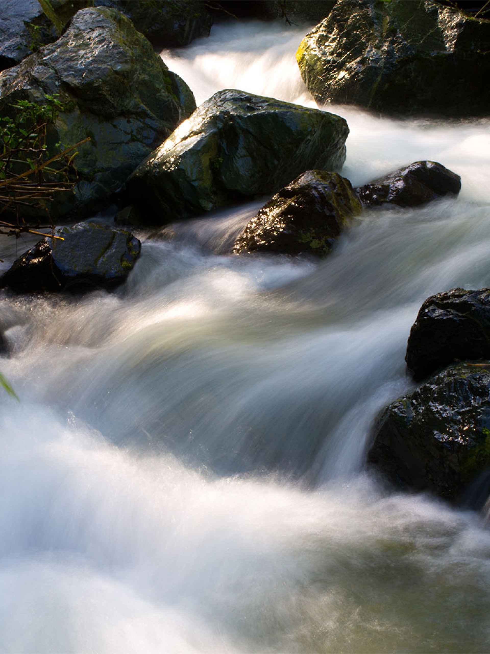 MUCHO MAS QUE CARIBE [2026]