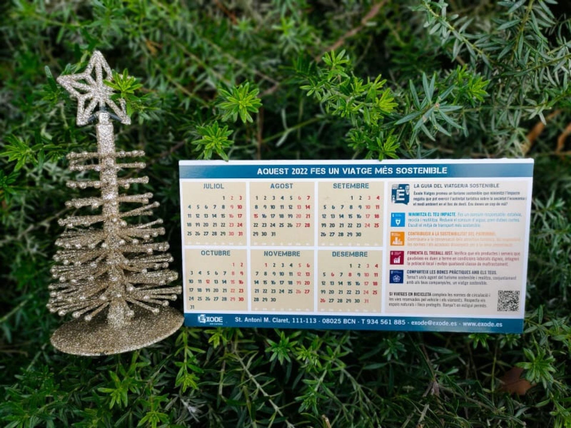 Un calendario sostenible para el 2022