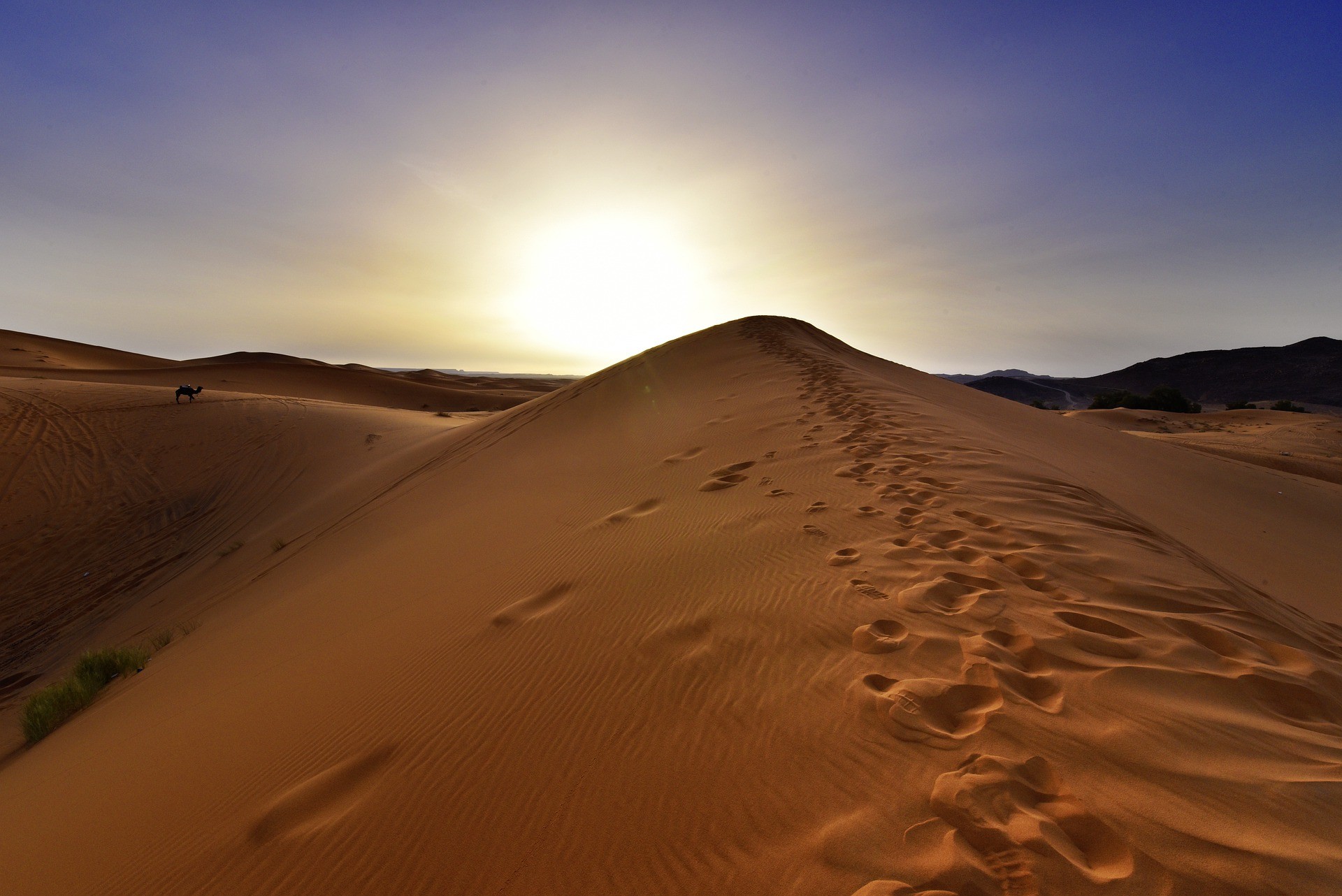 Escapada Marrakech i dunes del desert [EXODE 2025]