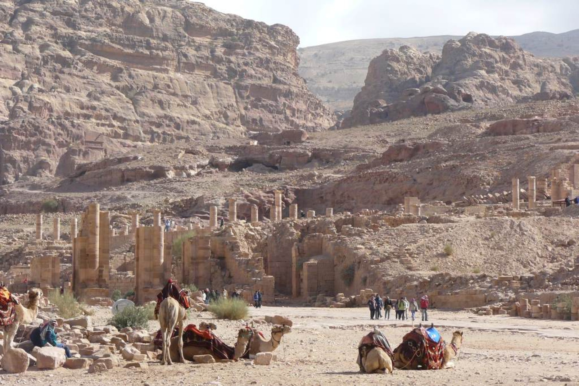 Ruta dels Nabateos [exode 2025]