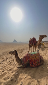 SANDRA, ANTONIO DAVID, INGRID, NOA