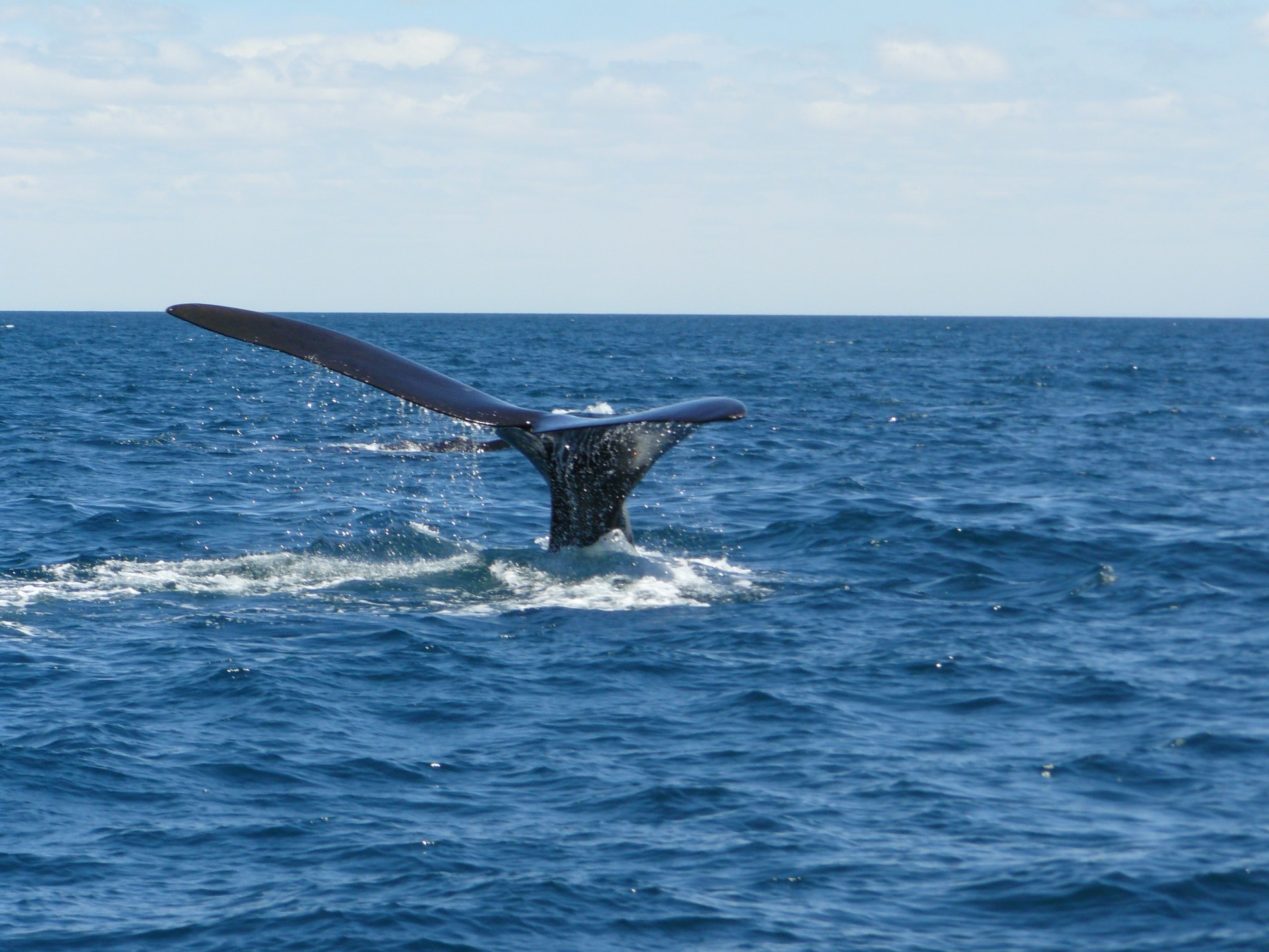 19 OCT - ARGENTINA ESPECIAL