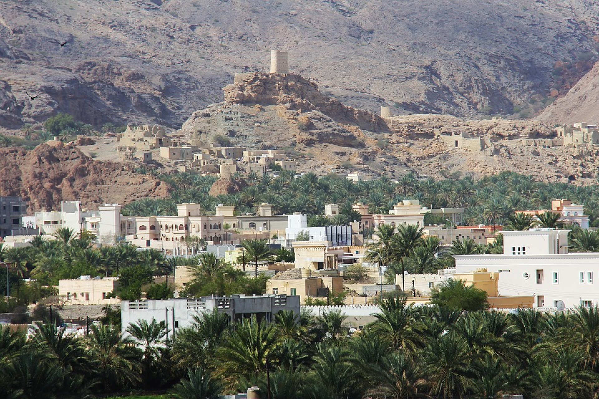 Secrets d&#039;Aràbia Omán [EXODE 2025]